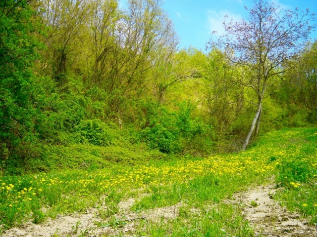 Val Tidone 